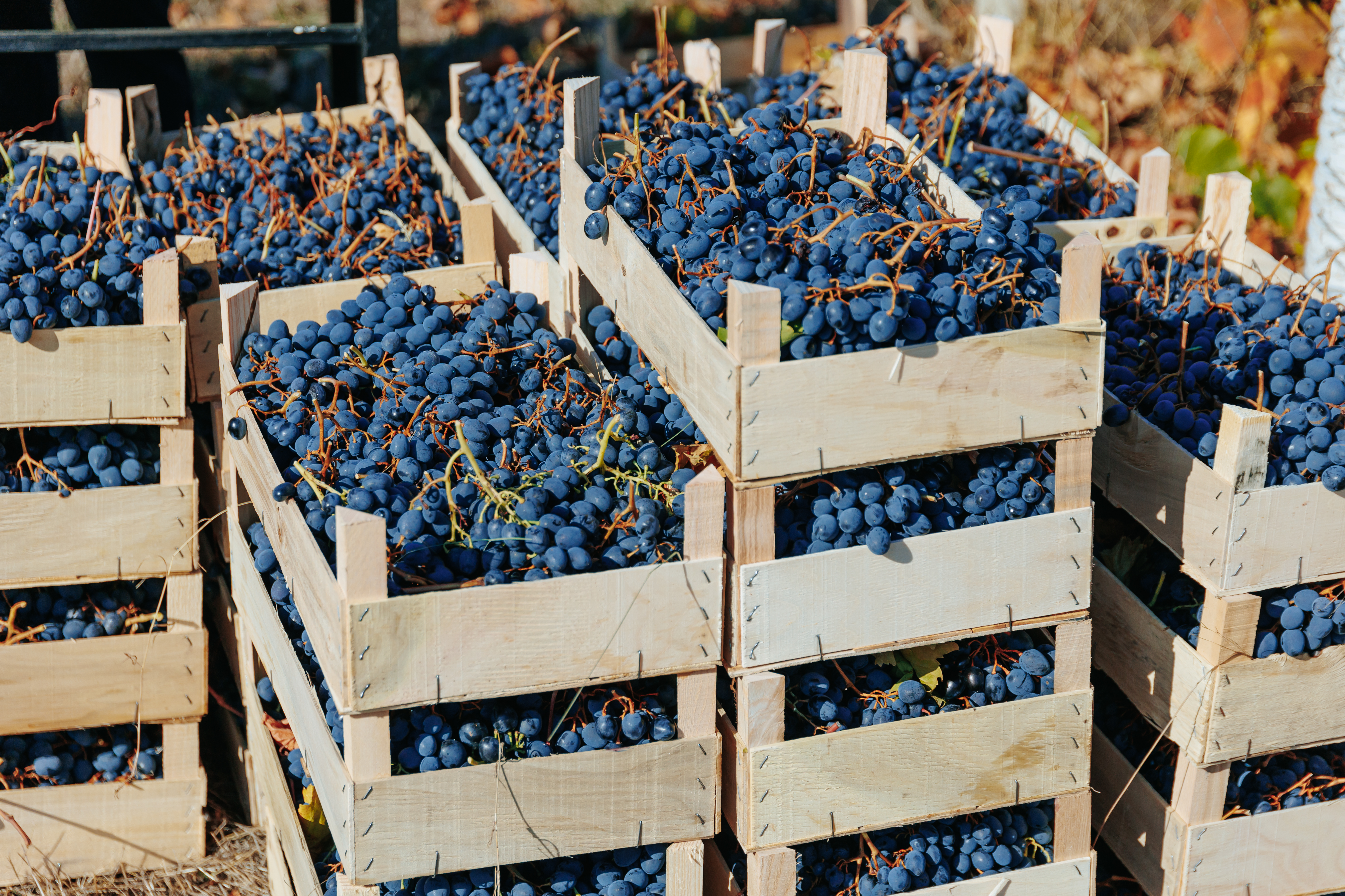 Modulo 6 Recepción/Almacenamiento